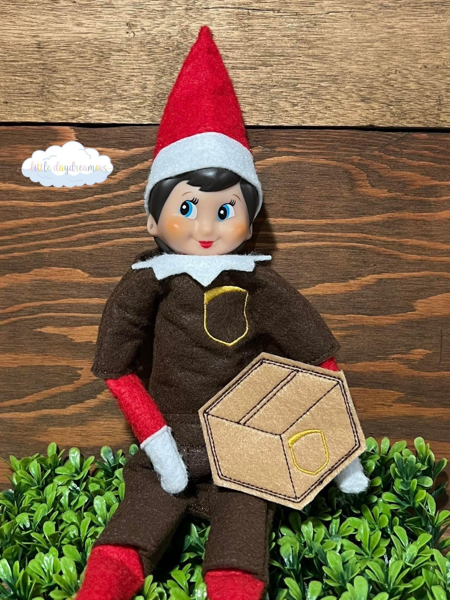 Elf Costume - UPS